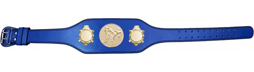 KICKBOXING CHAMPIONSHIP TITLE BELT-BUD003/G/KBOG -IN 4 COLOURS